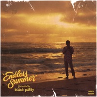 Endless Summer cover
